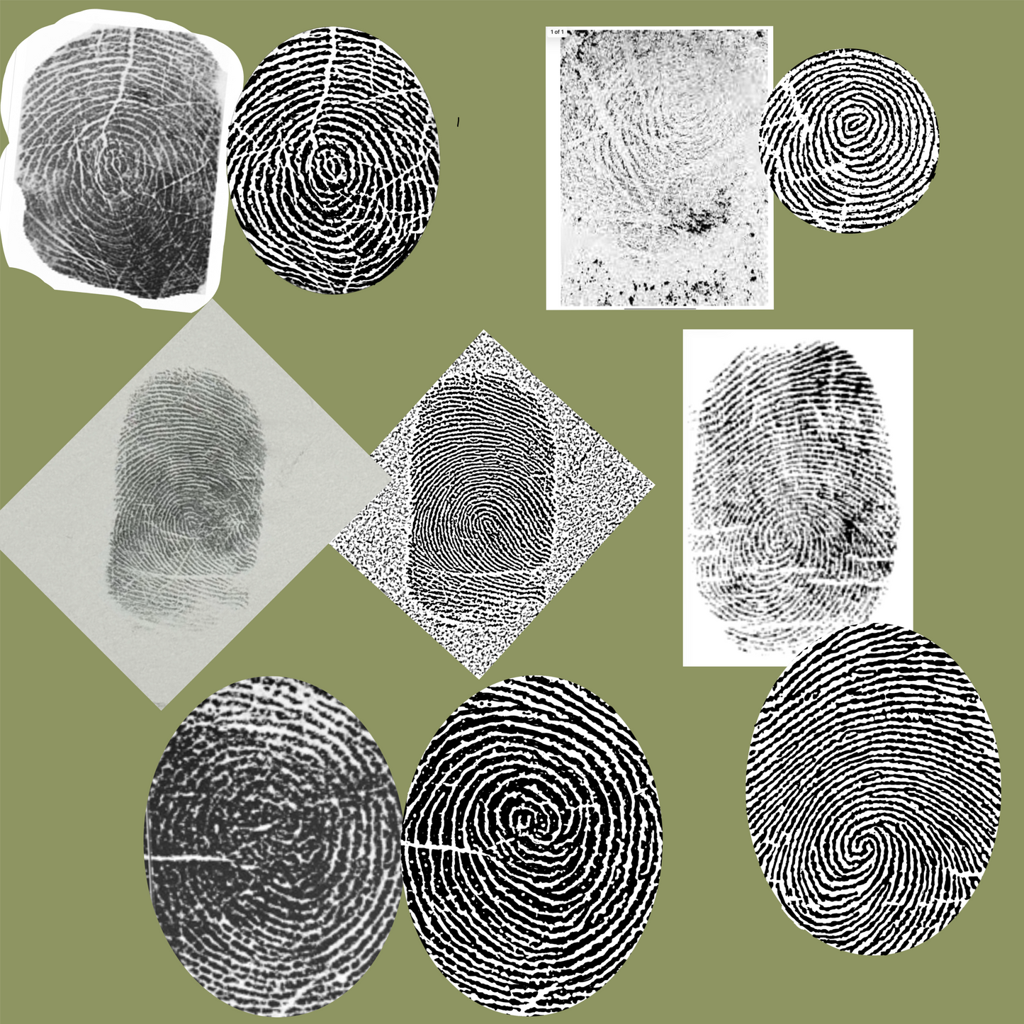 Fingerprint Image Cleanup (Digital PNG file)