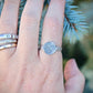 Real Portion of a Dog Paw print Ring in Sterling Silver