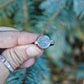 Real Portion of a Dog Paw print Ring in Sterling Silver