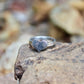 Pawprint Heart Ring in Sterling Silver