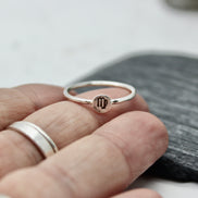 Zodiac Sign Ring in Sterling Silver